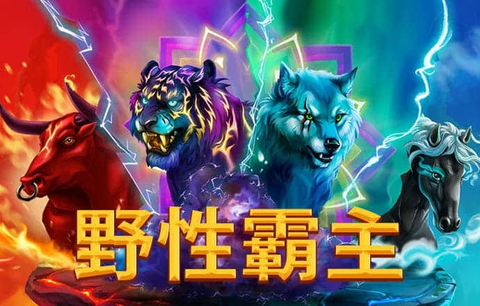 YH558811银河